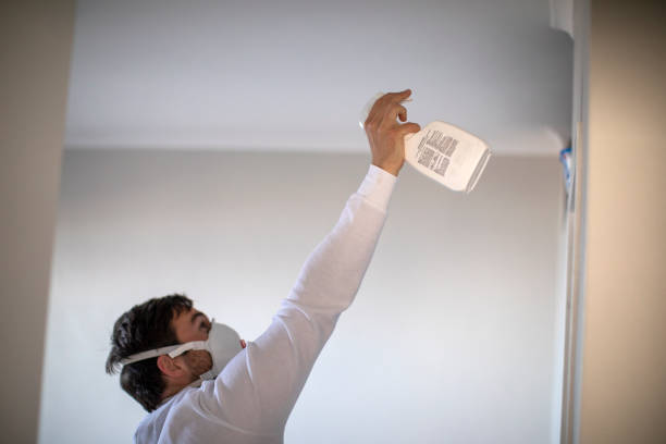 Best Water Damage Restoration  in St Marys, WV