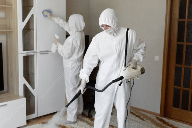 St Marys, WV Mold Removal Company