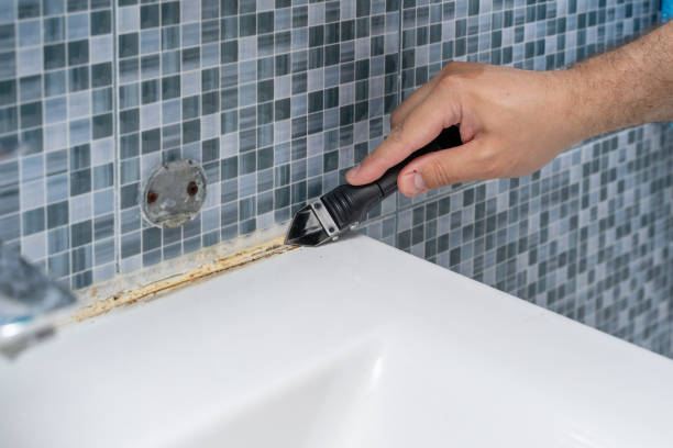 Best Mold Remediation Services  in St Marys, WV